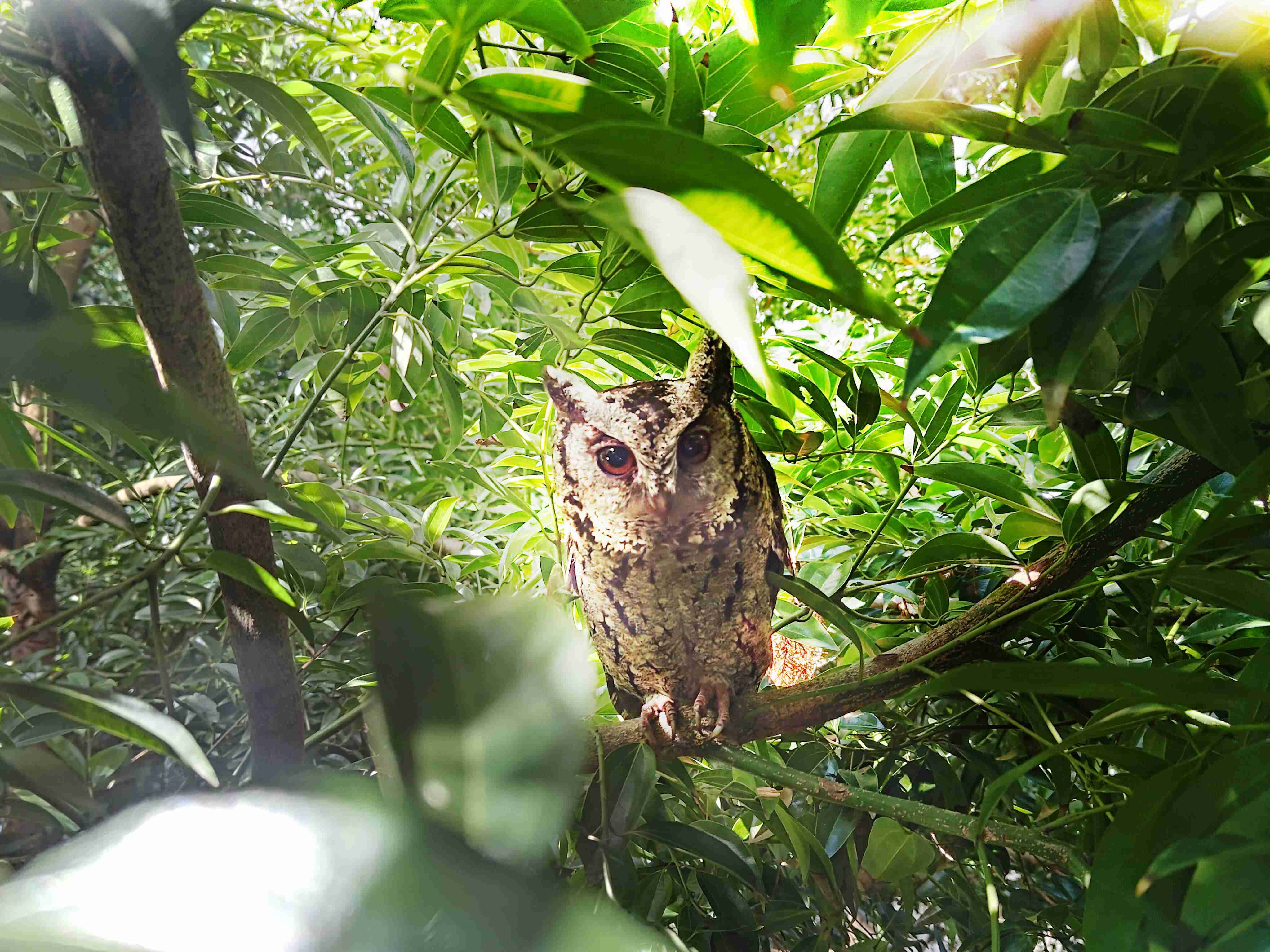 28国际致力提倡净零绿生活，，，，16年以来在全球各厂区植树逾百万棵，，，造就各厂区树木蔚然成林，，，，犹如森林工厂，，，成为许多生物的栖息地